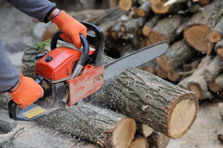 How to Cut Firewood with Chainsaw?
