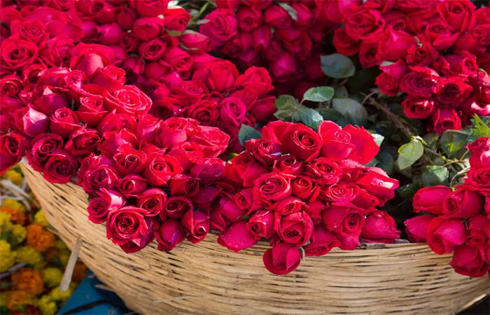 5 Alternatives To Roses On Valentines Day