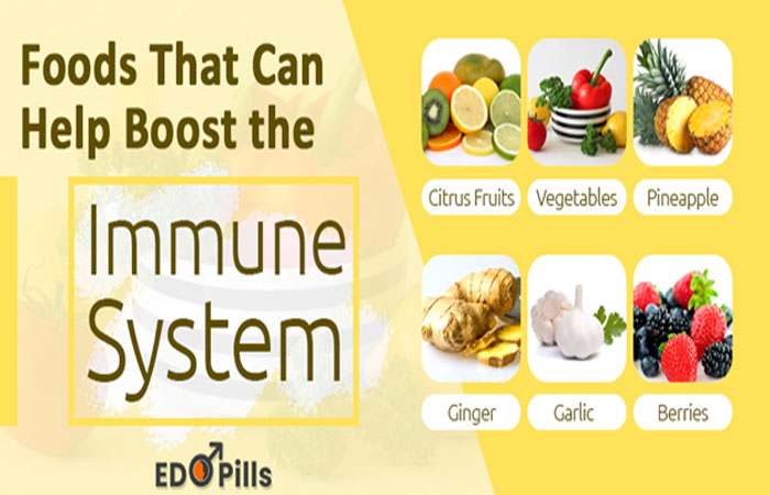 Foods That Can Help Boost the Immune System