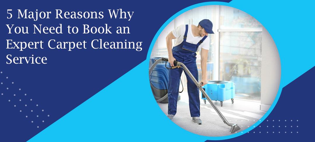 5 Major Reasons Why You Need to Book an Expert Carpet Cleaning Service