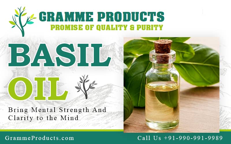 Basil Oil- An Ancient Healer by Nature