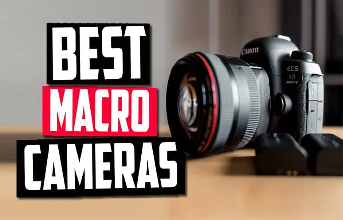 Best Camera for Macro Photography