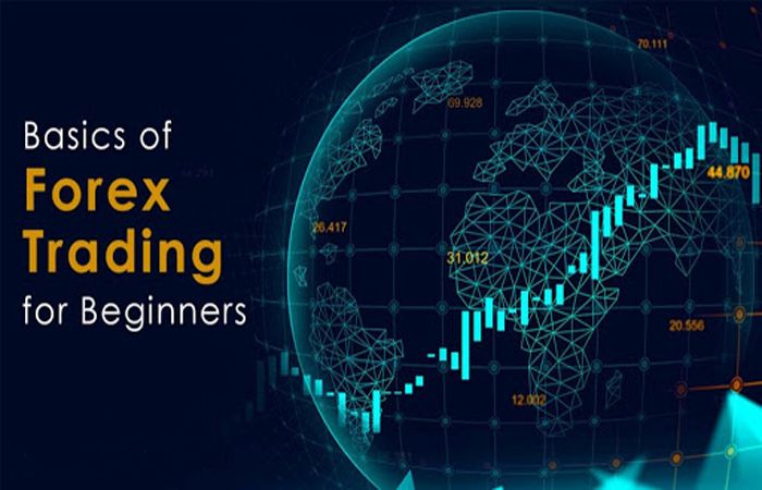 Everything You Need to Know About Forex Trading as a Beginner