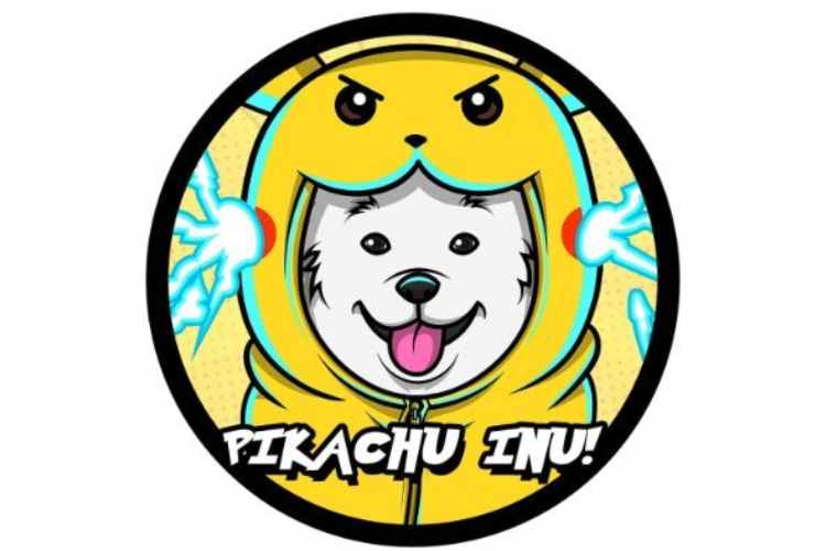 Coinmarketcap Pikachu INU – Here Is Everything You Should Know