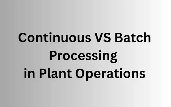 Continuous vs Batch Processing in Plant Operations: Which Is More Efficient?