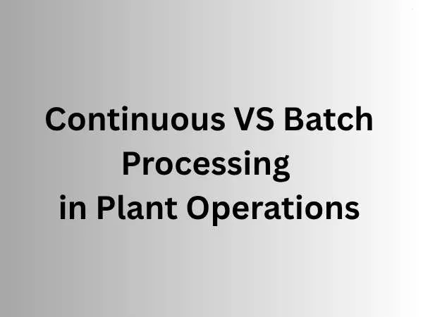 Continuous vs Batch Processing in Plant Operations: Which Is More Efficient?