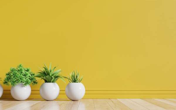 How to Pull Off a Feature Wall That Actually Works (and Doesn’t Feel Overdone)