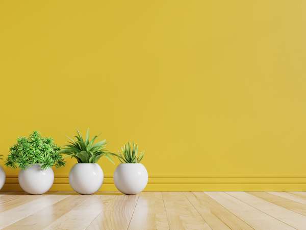 How to Pull Off a Feature Wall That Actually Works (and Doesn’t Feel Overdone)